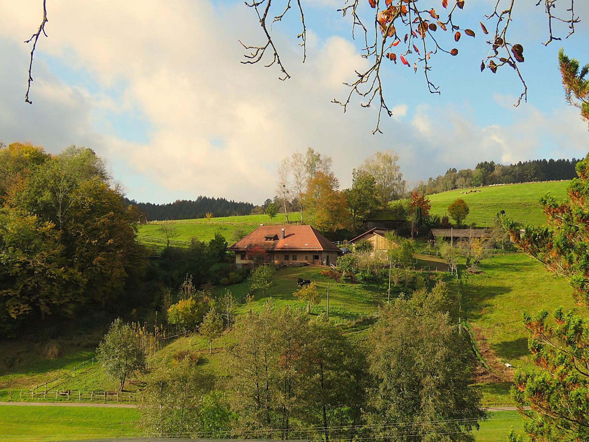Hernis-Hoefle Elzach Zewnętrze zdjęcie