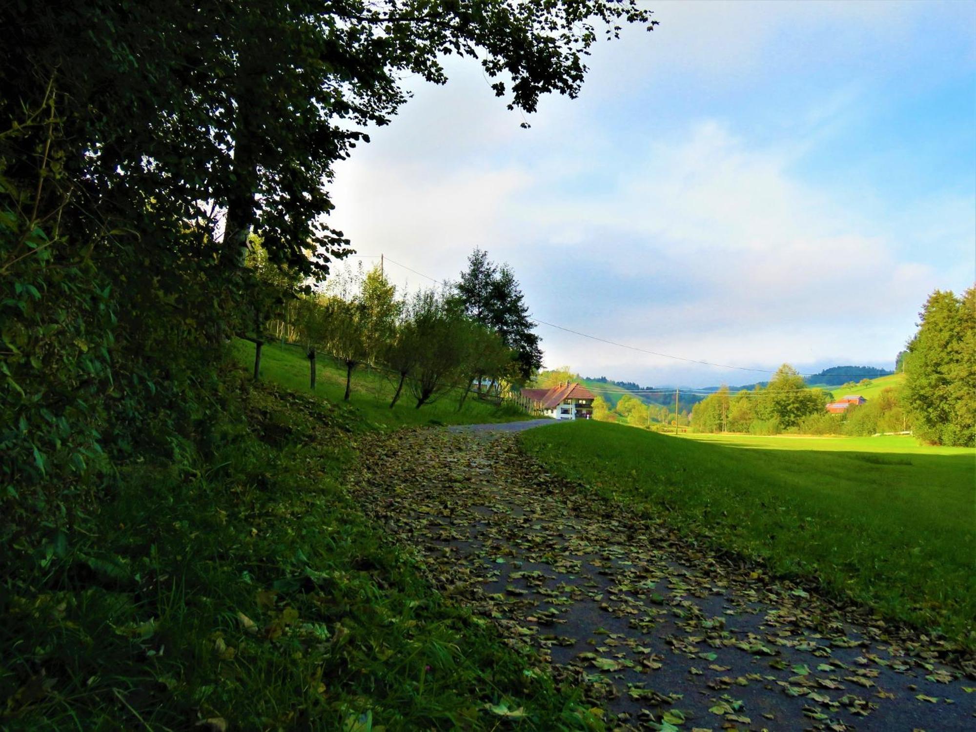 Hernis-Hoefle Elzach Zewnętrze zdjęcie