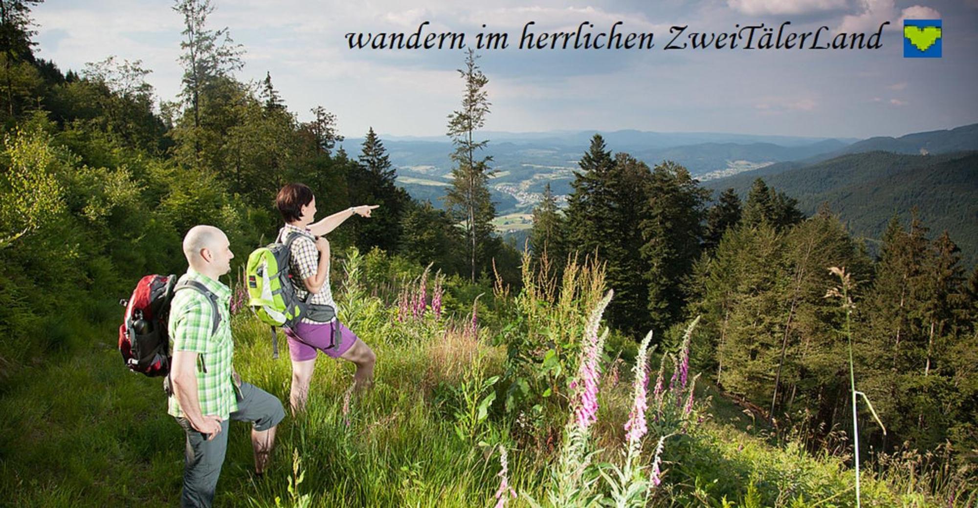 Hernis-Hoefle Elzach Zewnętrze zdjęcie
