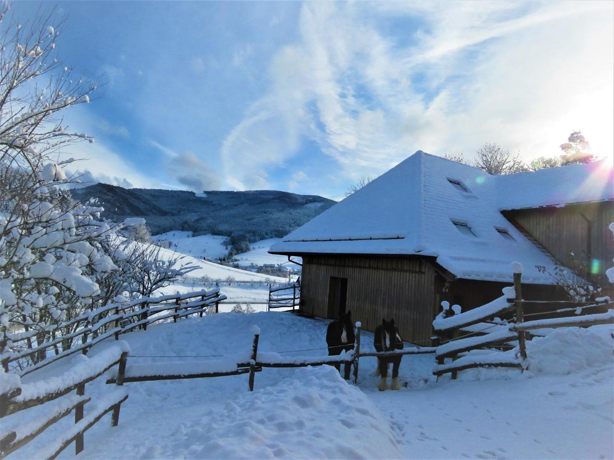 Hernis-Hoefle Elzach Zewnętrze zdjęcie